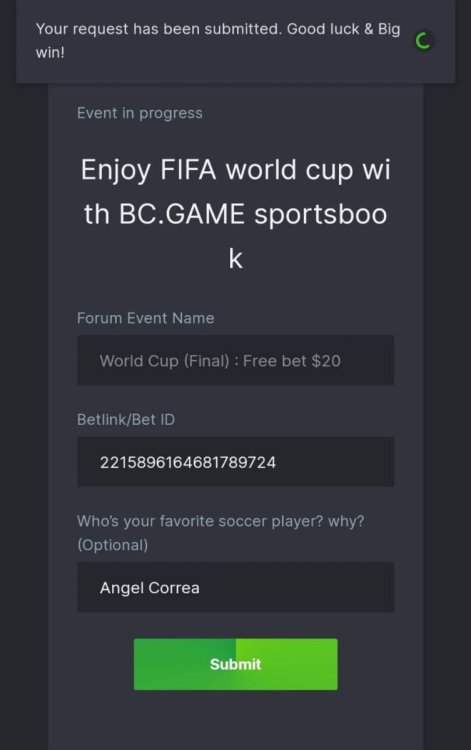 orca-image-248557176.jpeg